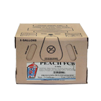 PEACH FCB 5 GAL ICEE SYRUP