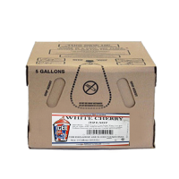 CHERRY SNOW FCB 5 GAL ICEE SYRUP